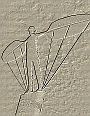 Windharfe