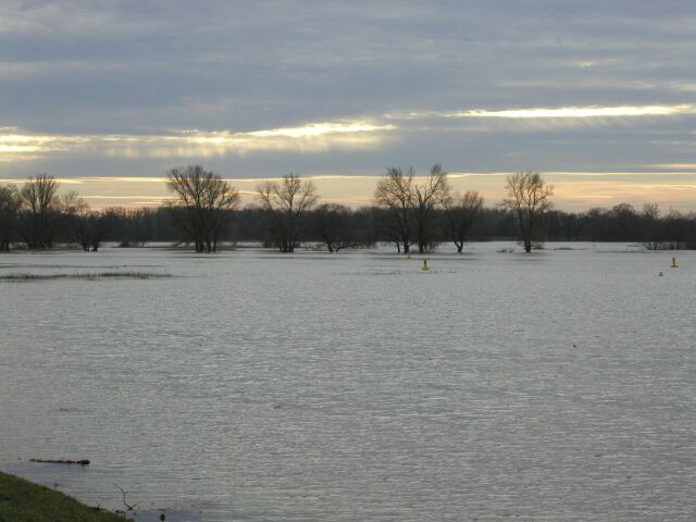Abendstimmung an der Elbe